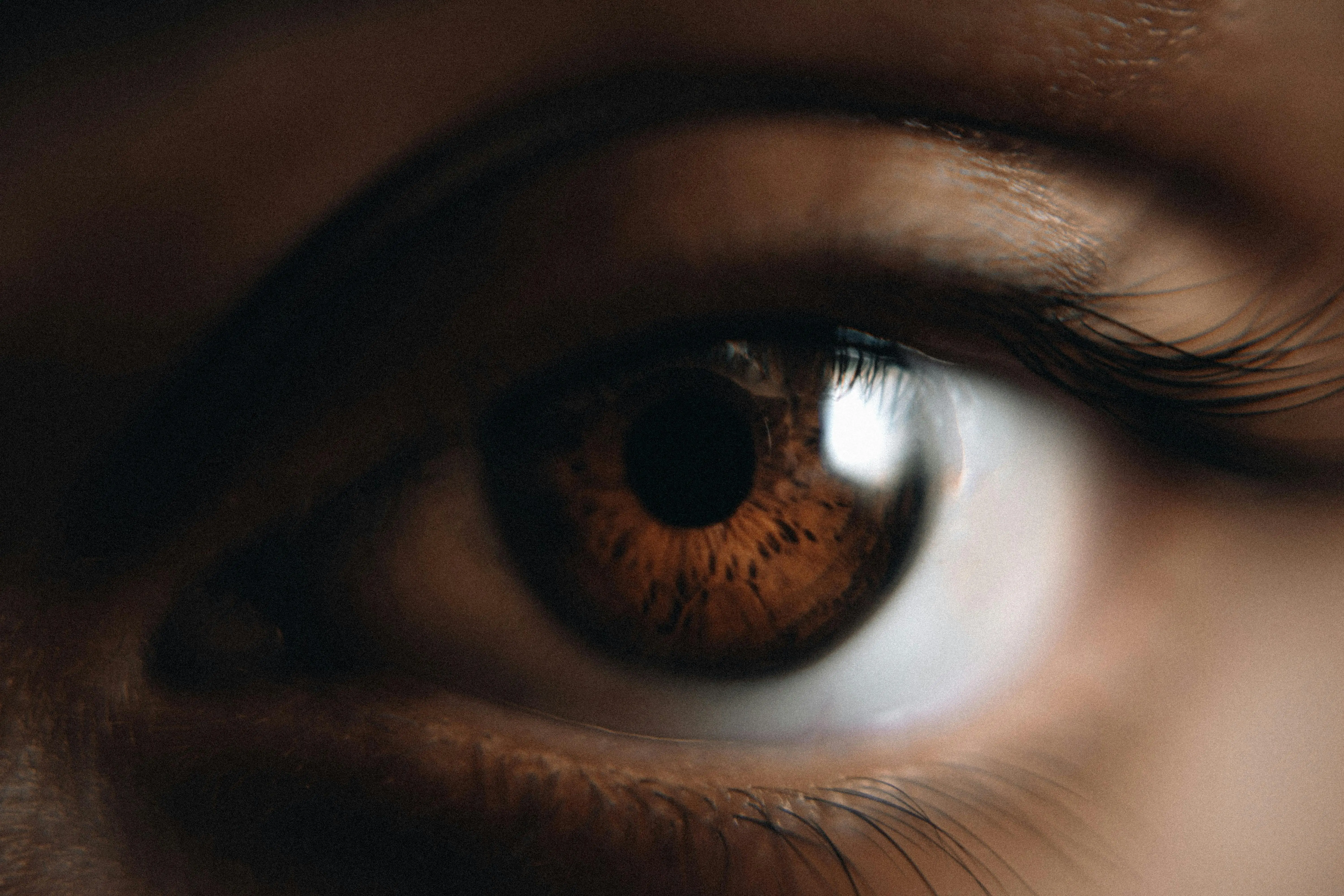 Detalhe de olhos com design de cílios e sobrancelhas refinado